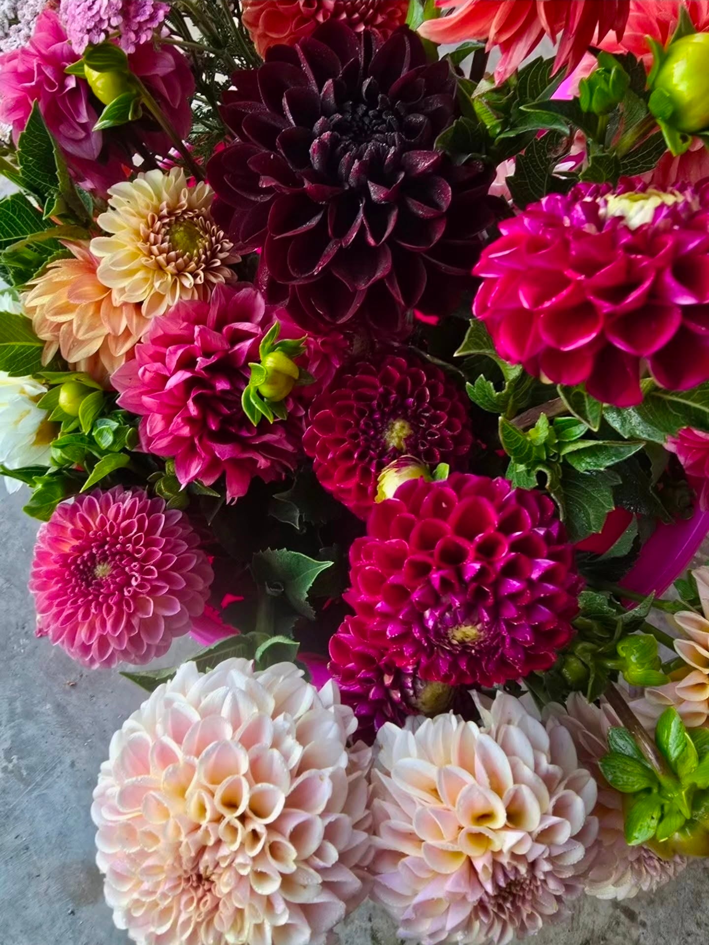 All Season 2026 Bouquet Subscriptions!