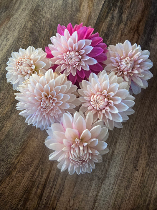 Budapest Blush